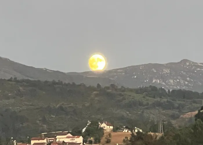 Quinta Do Lameiro Maceira